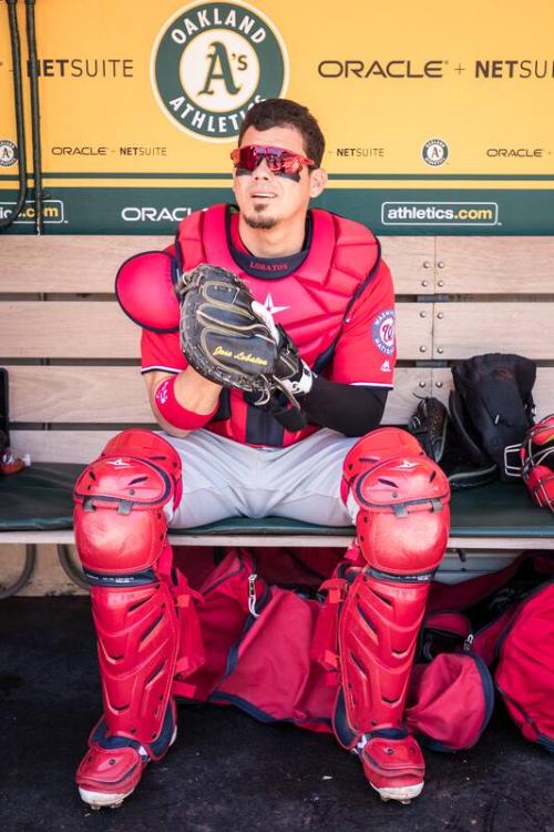 Jose Lobaton in the Dugout photograph, 2017 June 03