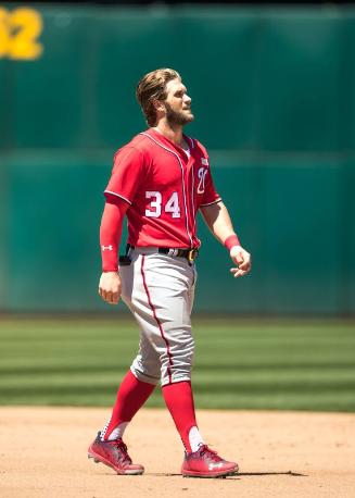 Bryce Harper on the Field photograph, 2017 June 04