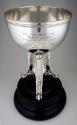 Cy Young American League Players trophy, 1908 August 13