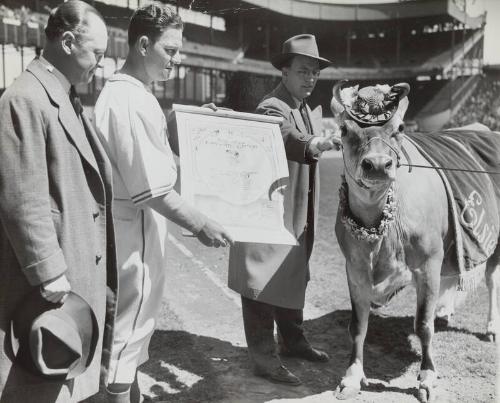 Mel Ott and Bill Terry photograph, 1942 February 17