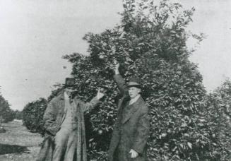 Grover Cleveland Alexander and Unidentified Apple Picker reprint, probably 1916