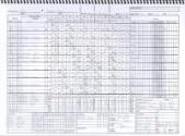 Adelaide Giants versus Melbourne Aces scorecard, 2022 January 08