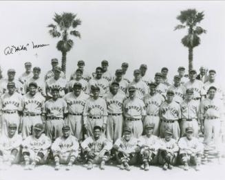 Boston Braves team photograph, 1935