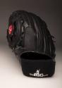 Randy Johnson 3000th Strikeout glove