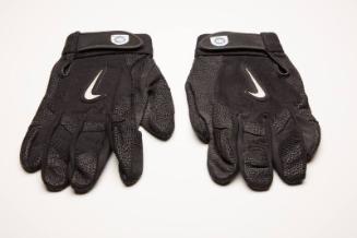 Daryle Ward Cycle batting gloves